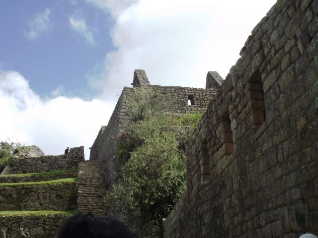 Macchu Picchu 038